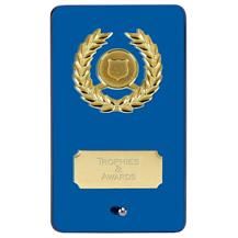 Blue Mirror Glass Plaque Award JC133DQ